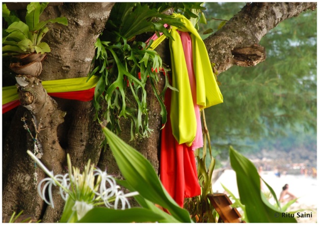 Colorful bands of cloth tied to a tree
