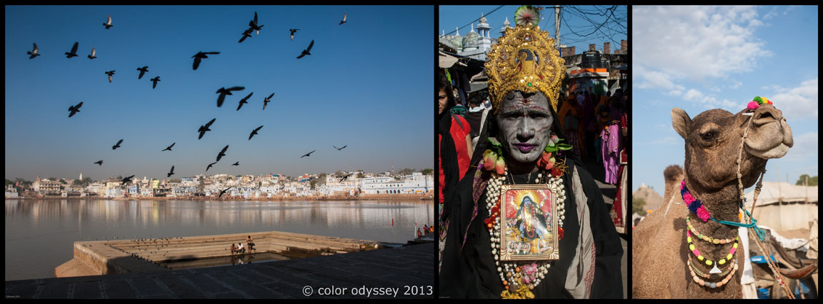 Colors of India : Pushkar 