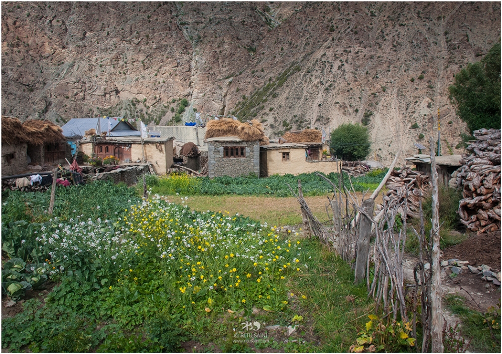 Surrounded by harsh mountains, Charang is a pretty delight. 