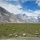 Wild Ladakh